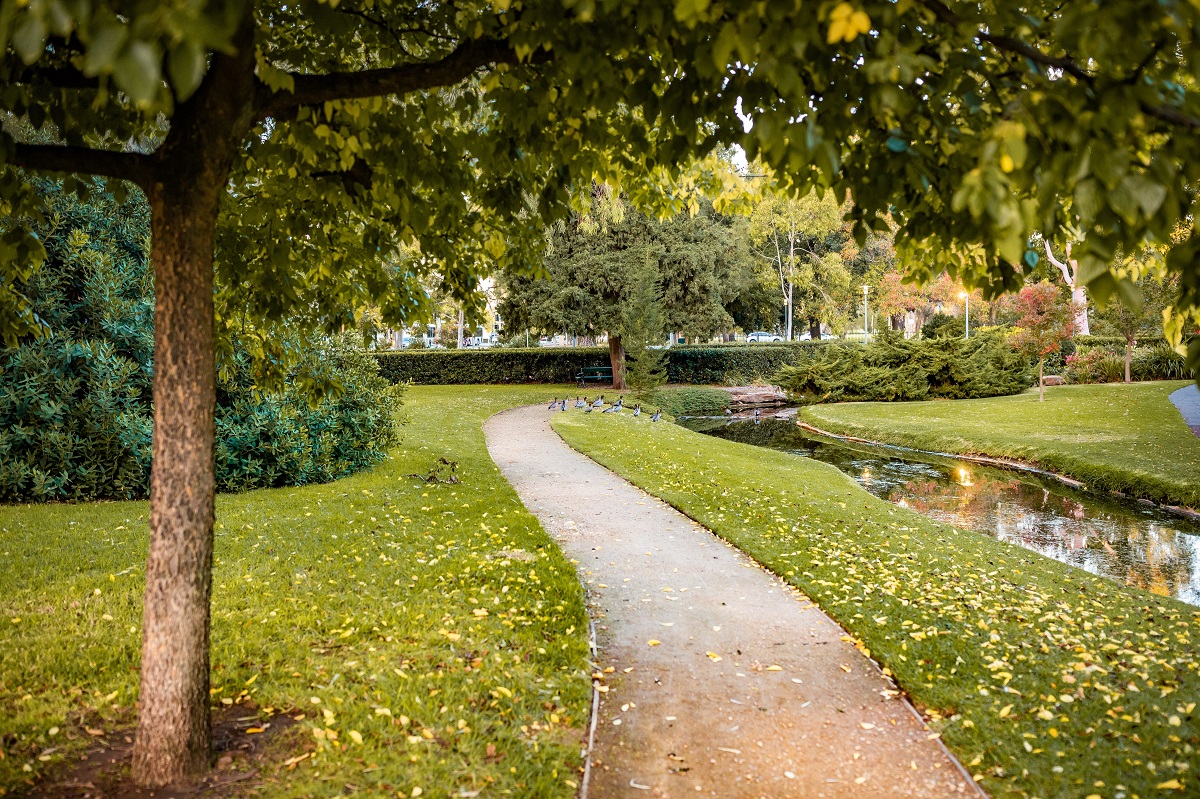 Allontanare zanzare dal giardino