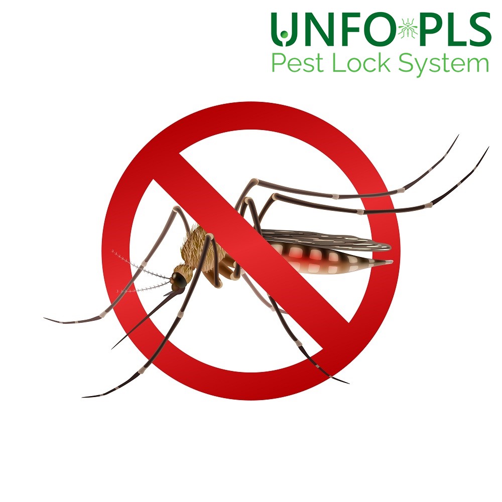 Perché combattere la lotta alle zanzare